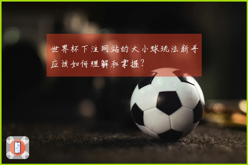 世界杯下注网站的大小球玩法新手应该如何理解和掌握？