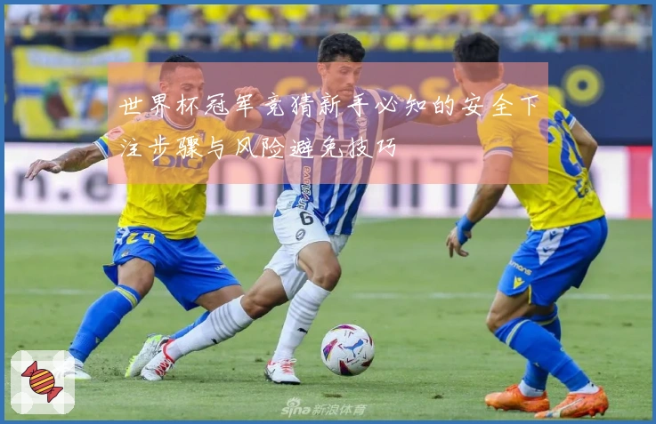 世界杯冠军竞猜新手必知的安全下注步骤与风险避免技巧