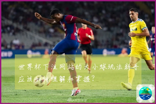 世界杯下注网站的大小球玩法新手应该如何理解和掌握？