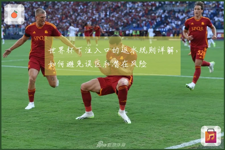 世界杯下注入口的返水规则详解，如何避免误区和潜在风险